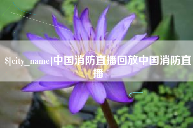 馆陶中国消防直播回放中国消防直播