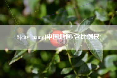 馆陶中国地图(含比例尺)