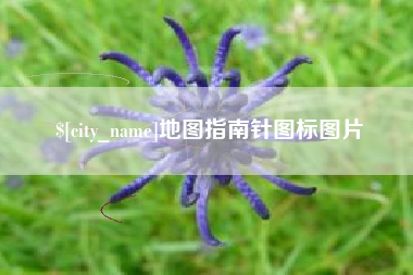 馆陶地图指南针图标图片