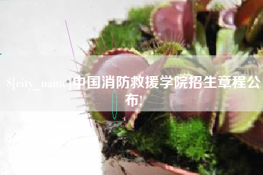 馆陶中国消防救援学院招生章程公布!