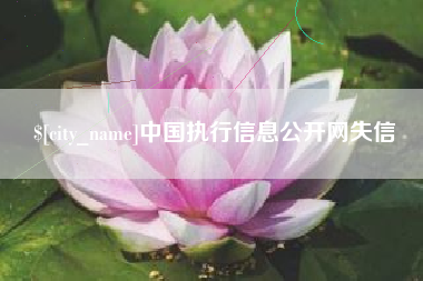 馆陶中国执行信息公开网失信