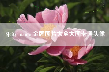 馆陶金牌图片大全大图卡通头像