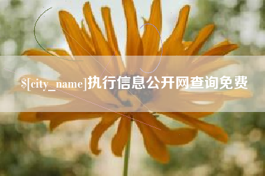 馆陶执行信息公开网查询免费
