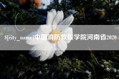 馆陶中国消防救援学院河南省2020